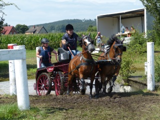 2016_0807-bernd-sellmeier-fritz-svensson-wasser-1.jpg